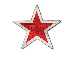 Western Star logo that features 'Serious Trucks' in white text and a red star against a gray background. 
